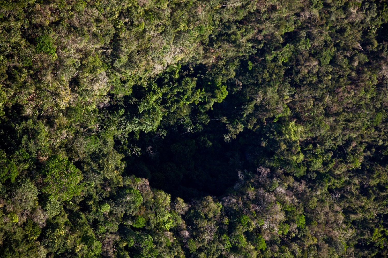 Black Hole Drop Adventure