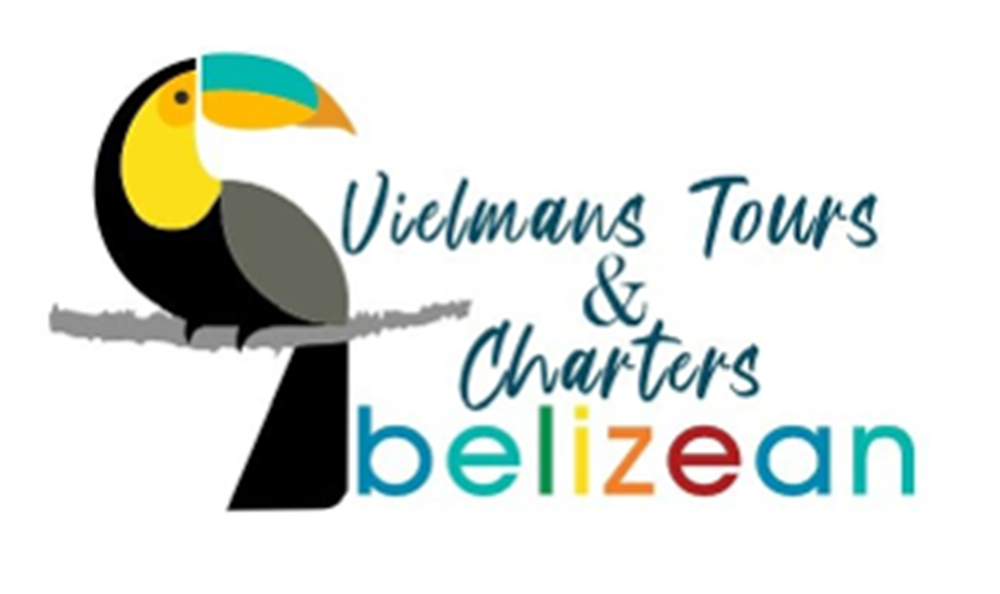 Vielmans Tours & Charters